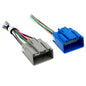 Axxess AXABH-FD1 Ford 2011-2020 (Sony amplified)