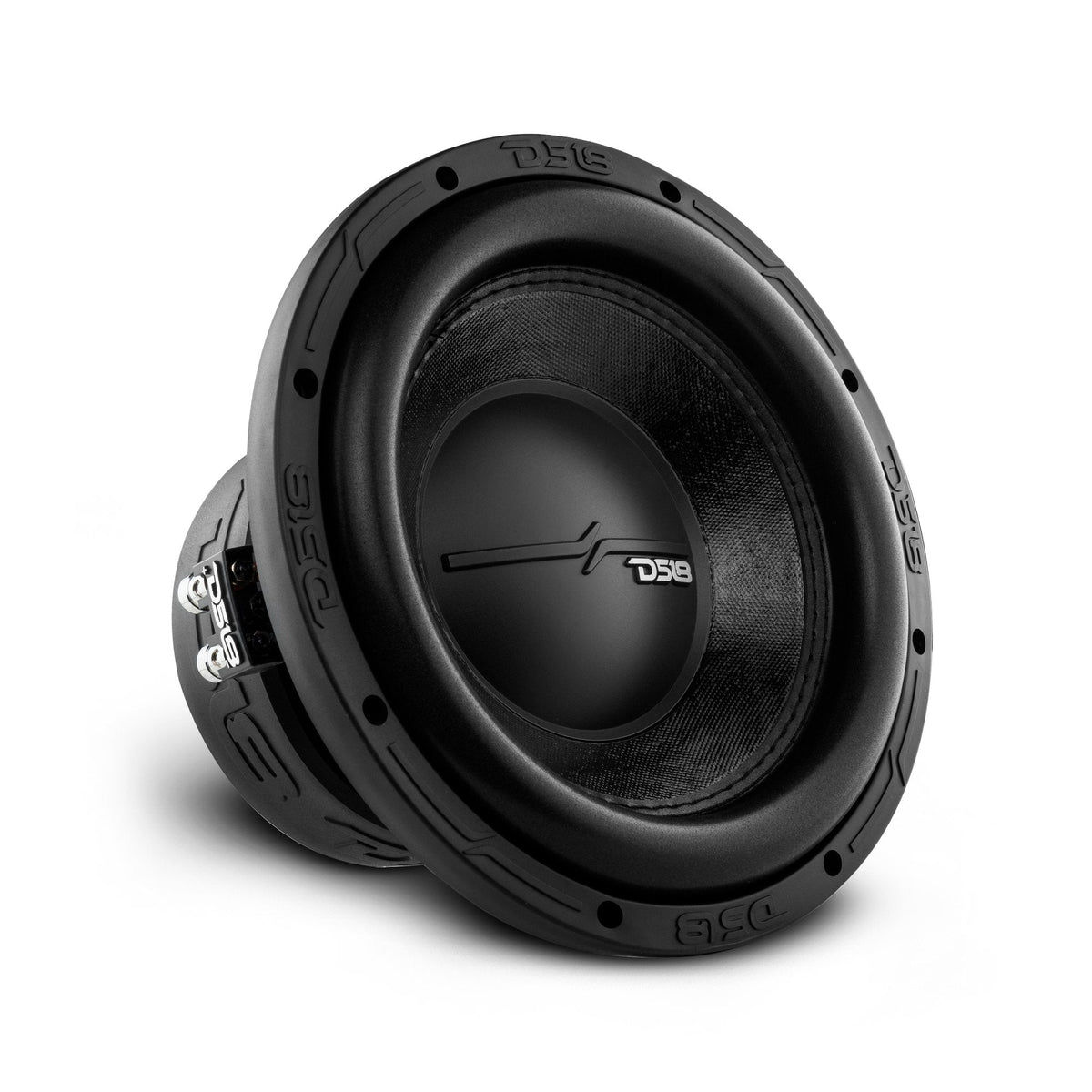 DS18 ZR10.2D ZR 10" Subwoofer 700 Watts Rms DVC  2-Ohm